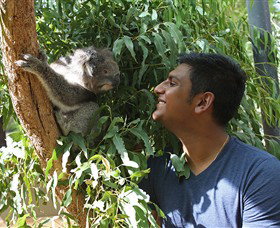 Healesville Sanctuary - Stayed 0