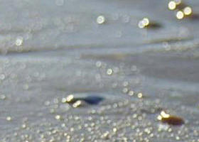 Walkerville South VIC Stayed