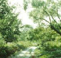 Holey Plains State Park - Stayed
