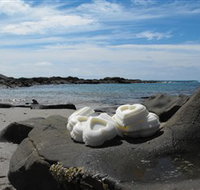 Calma Candles - Stayed