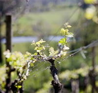 Eldridge Estate of Red Hill - Stays Accommodation