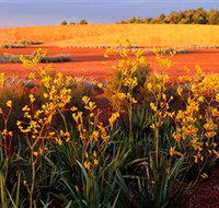 Royal Botanic Gardens Victoria Cranbourne - Stays Accommodation