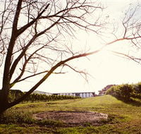 Scotchmans Hill - Stayed