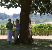 Five Oaks Vineyard - Stayed