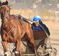 Ballarat  District Trotting Club - Stayed