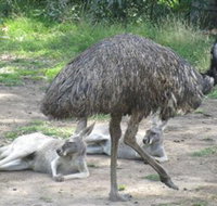 Bundoora Park - Stayed