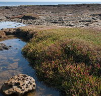 Ricketts Point Marine Sanctuary - Stayed