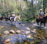 Howqua Hills Historic Area - Stayed