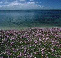 The Lakes National Park - Stayed
