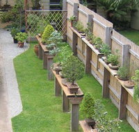 Bonsai Island - Stayed