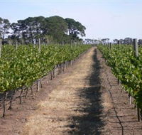 Mount Beckworth Wines - Stayed