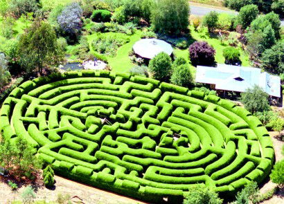 Wandiligong Maze - Stayed 0