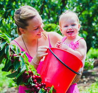 Cherryhill Orchards - Stayed