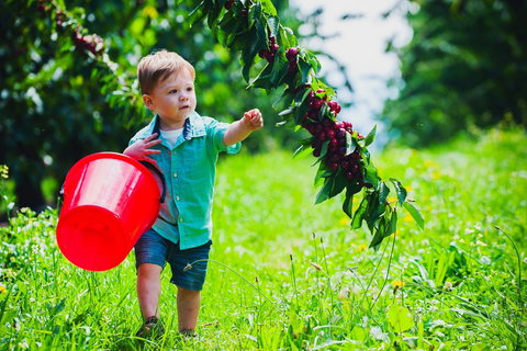 Cherryhill Orchards - Stayed 2