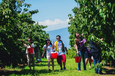 Cherryhill Orchards - Stayed 4