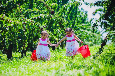 Cherryhill Orchards - Stayed 6