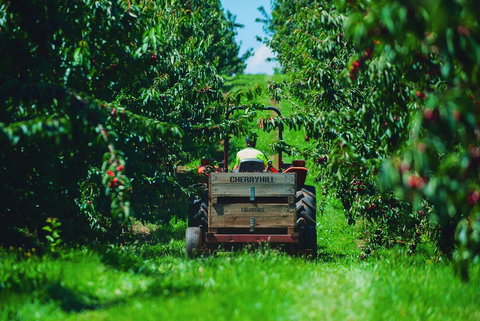 Cherryhill Orchards - Stayed 7