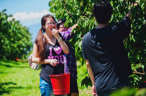 Cherryhill Orchards - Stayed 9