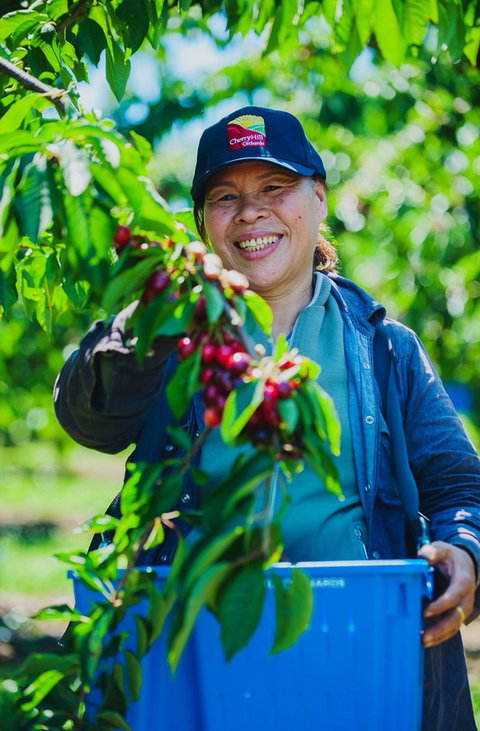 Cherryhill Orchards - Stayed 11