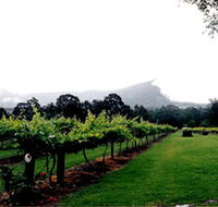 Cambewarra Estate Wines - Stayed
