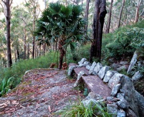 Wodi Wodi Walking Track - Stayed 0