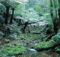 Deua National Park - Stays Accommodation