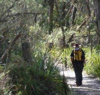 Barren Grounds Nature Reserve - Stayed