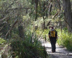 Barren Grounds Nature Reserve - Stayed 0