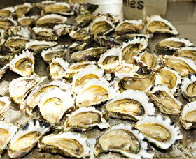 Wheelers Oysters - Stayed 0