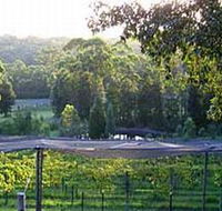 Lyrebird Ridge Organic Winery - Stayed