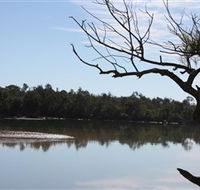 North Coast Holiday Parks Boambee Creek Reserve - Stays Accommodation