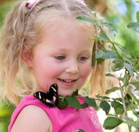 Coffs Harbour Butterfly House - Stayed