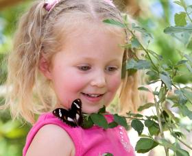 Coffs Harbour Butterfly House - Stayed 0