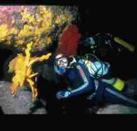 Solitary Islands Marine Park - Stayed