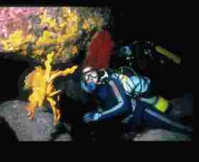 Solitary Islands Marine Park - Stayed 0