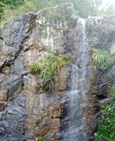 Wedding Bells Forest Drive - Stayed 0