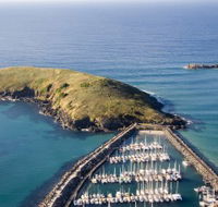 Muttonbird Island Nature Reserve - Stayed