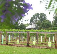Douglas Vale Historic Homestead  Vineyard - Stayed