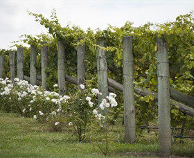 Lambert Vineyards Cellar Door - Stayed 2
