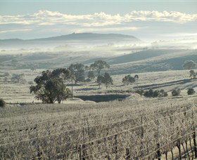 Kurrajong Downs Wines Vineyard - Stayed 1