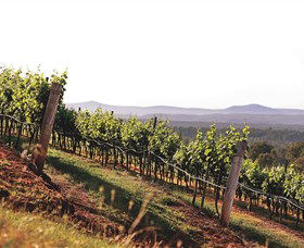 Briar Ridge Vineyard - Stayed 1