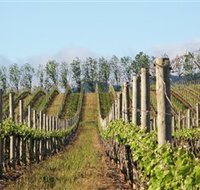 Philip Shaw Wines - Stayed