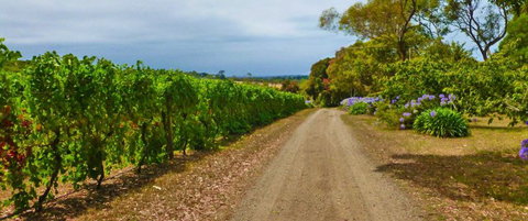 Merricks Estate - Stayed 1