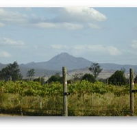 Ironbark Ridge Vineyard - Stayed