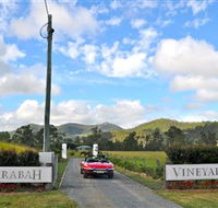 Sarabah Estate Vineyard - Stayed