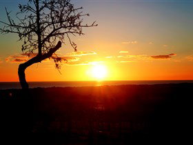 Rocky Ridge Vineyard And Cellar Door - Stayed 0