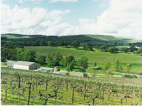 Stephen John Wines - Stayed 2