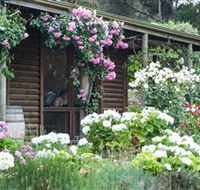 Lavina Wines - Stays Accommodation