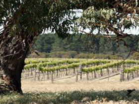 Wangolina Station - Stayed 3