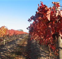 Kooyonga Creek Wines - Stayed